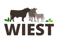 Wiest GbR